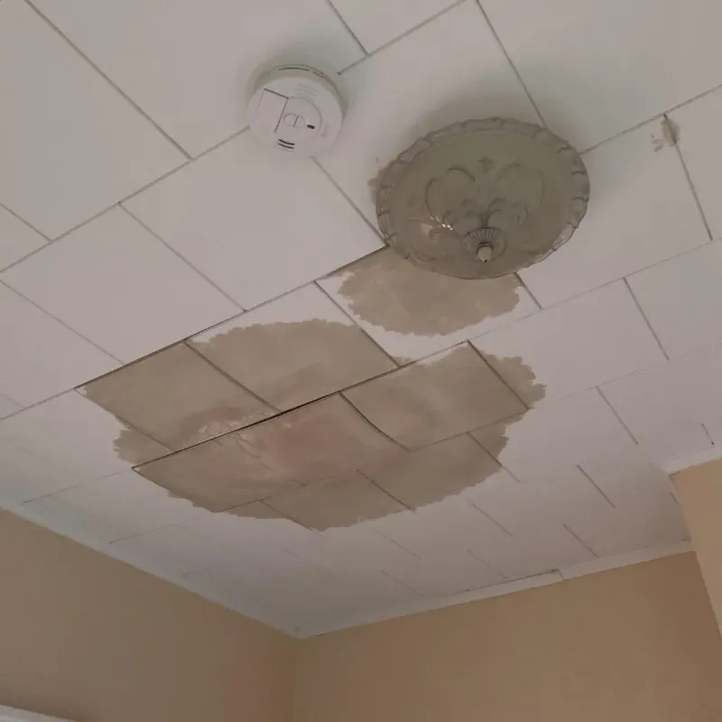 Ceiling Water Damage Repair in Greene County, MS