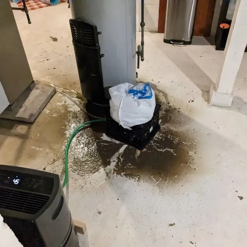 Sewage Backup Cleanup Service in Greene County, MS